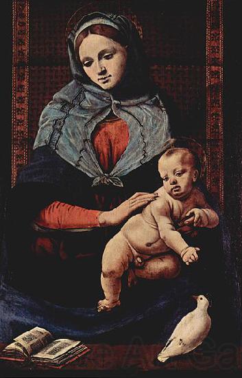 Piero di Cosimo Taubenmadonna France oil painting art